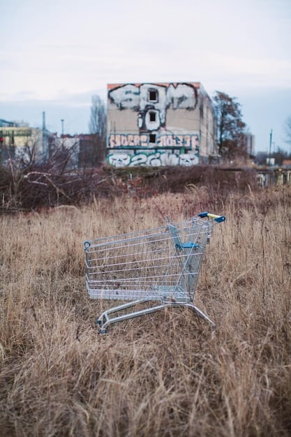 A split-screen image. One side shows a full grocery cart and a smiling face, while the other side shows an almost empty cart and a disappointed face. The title is 