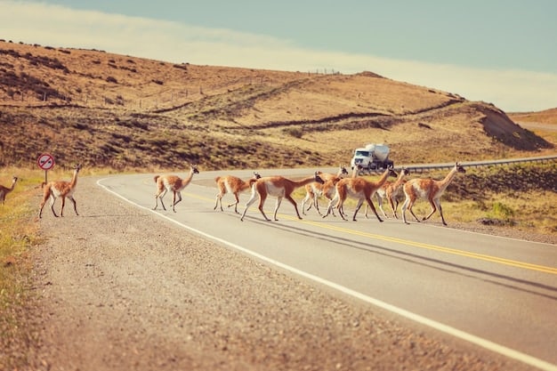 A panoramic view of a caravan crossing a desert landscape along the Silk Road. The scene captures the vastness and beauty of the region, with camels, vibrant textiles, and diverse travelers.