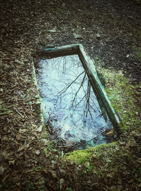A detailed macro shot of a theatrical prop, such as a broken mirror or a wilting flower, symbolizing decay, lost identity, or shattered dreams within the play's context.