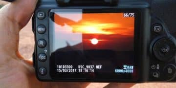 Understanding Camera Raw: A Comprehensive Guide for Photographers - Cover Image